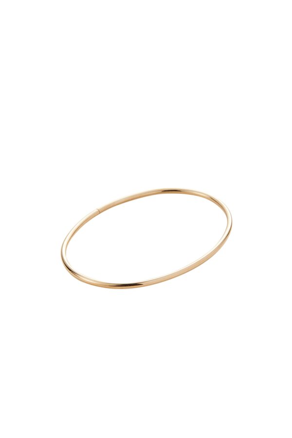 Jenny Bird Dane Anklet - Gold